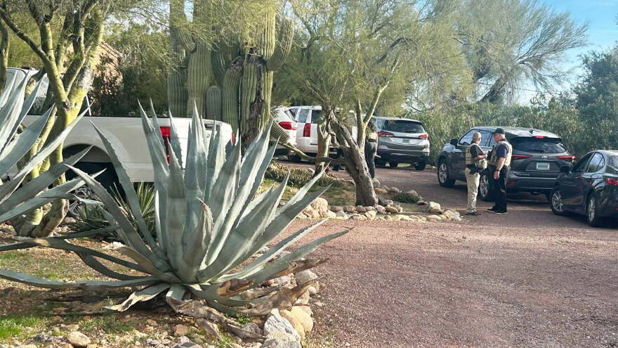 Nancy Guthrie foothills home Pima County Sheriff
