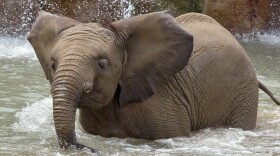 Indianapolis Zoo