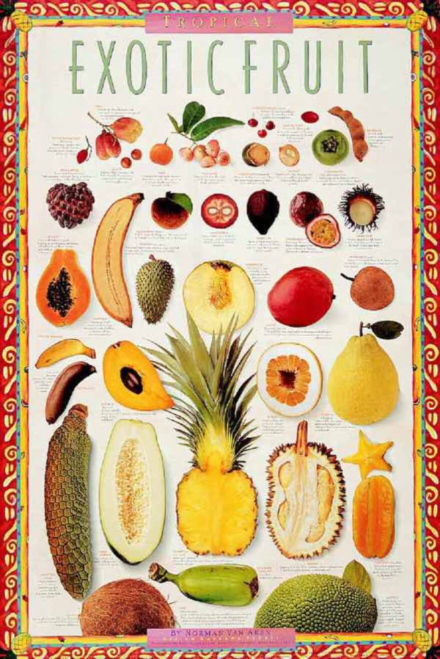 Fruits of Paradise