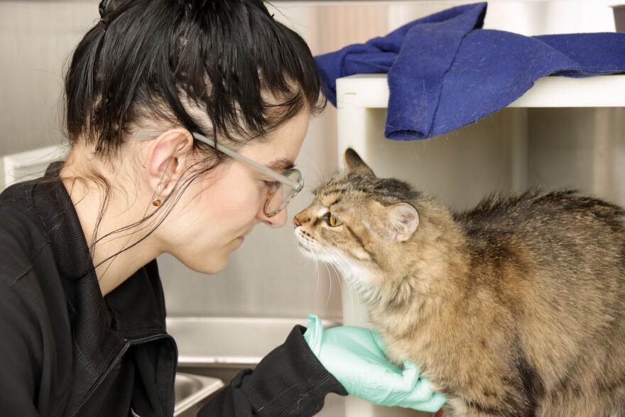 a woman smiling at a cat 