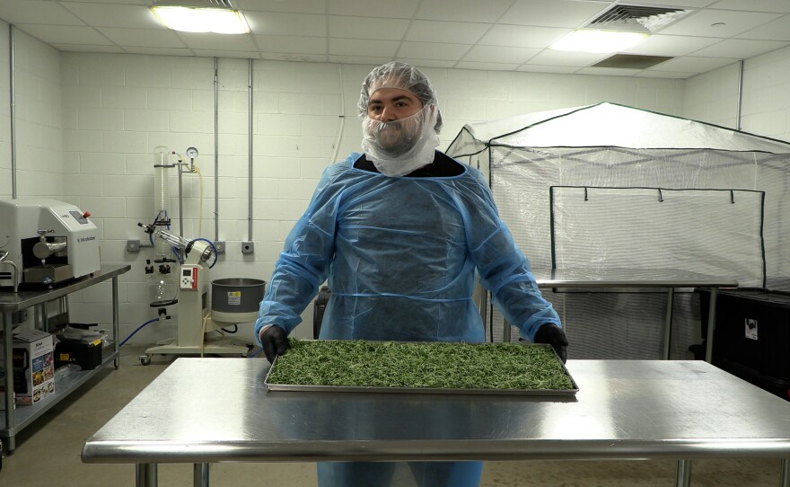 Matt Wolman, a formulation technician at Pocono Organics, freeze dries broccoli microgreens and processes it into microgreen powder.
