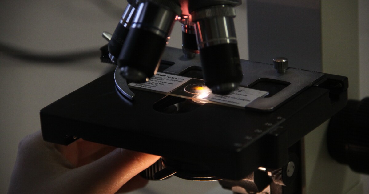 New proposal aims to secure future of biomedical research in New York