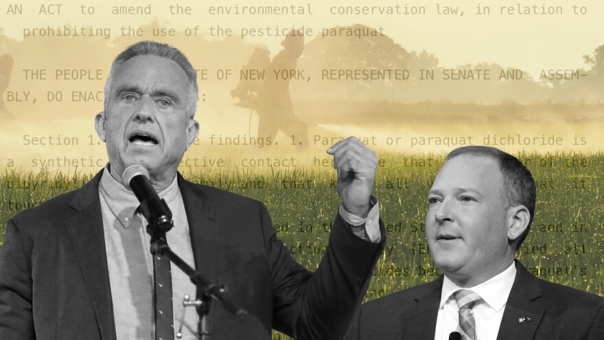 wuft icon photo illustration showing posterized images of Robert Kennedy Jr. and Lee Zeldin 