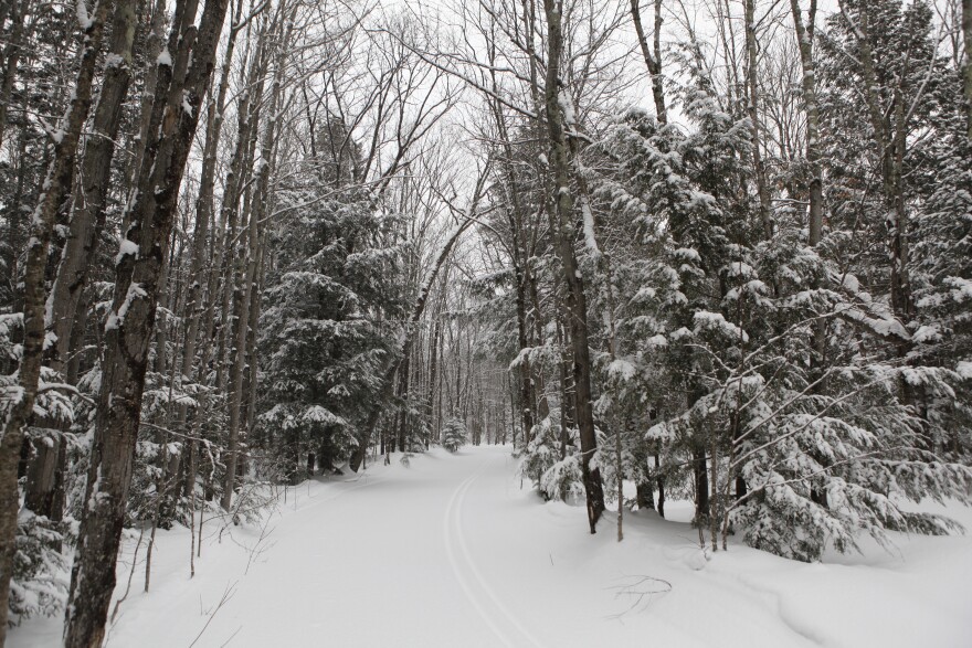 One morning during my stay at Crosscut Cabin, I awoke to several inches of fresh snow. (credit: Dan Wanschura / Points North)