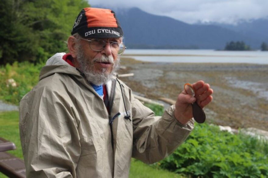 “When I found the funnybug 40 years ago,” Russell says, “We thought there was a wall of ice from Juan de Fuca to the pole during the Ice Age.” Russell speculates that the non-migratory funnybug may have used coastal refugia — non-glaciated areas — to “ride out” the Ice Age in North America. Anthropologists think humans may have done the same thing. (KCAW photo/Robert Woolsey)