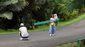 Two people take a photo in the road at Hoʻomaluhia. The park has a strict policy against standing on the main road and staff have said they've warned visitors.