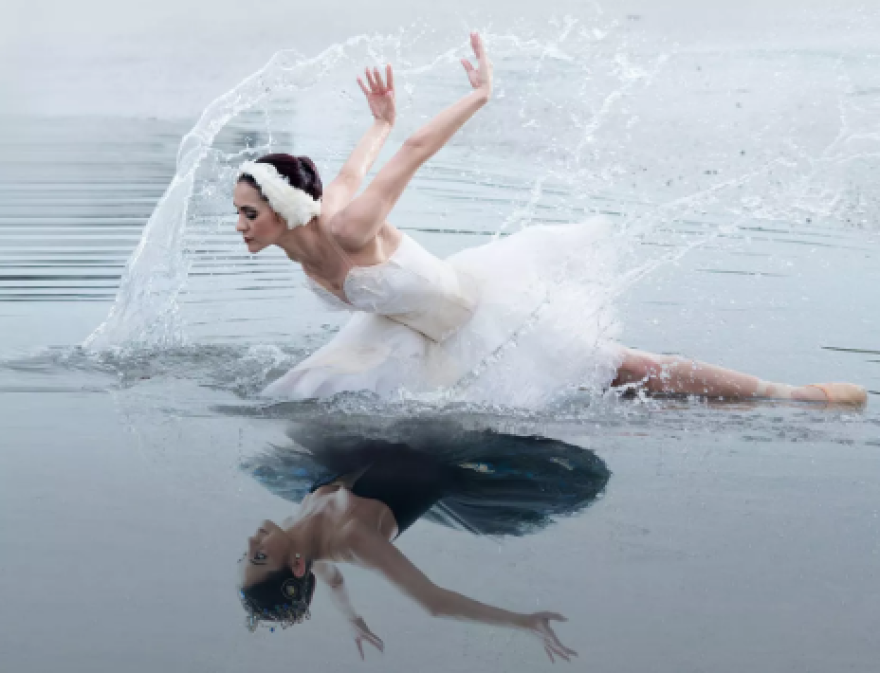 swan-lake