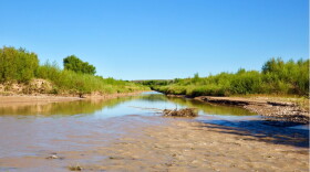 Low, muddy flows on the Rio Grande bordered by green vegetation upstream of Elephant Butte Reservoir in New Mexico.