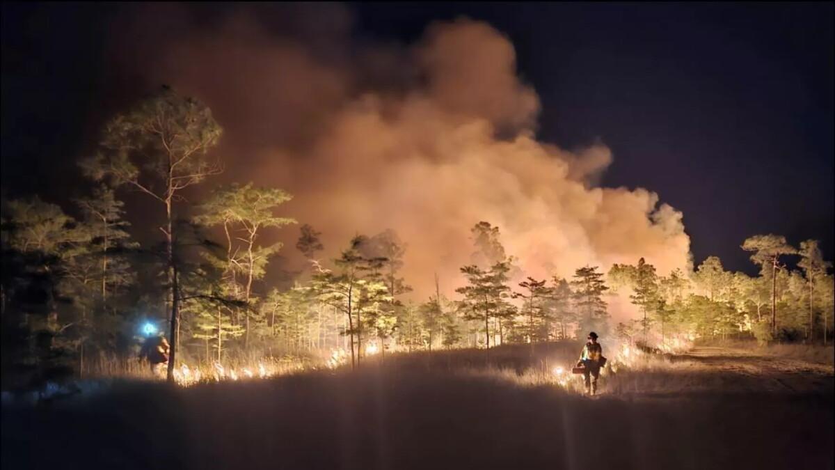 Big Cypress National Preserve fire slows as containment rises - Vimarsana News