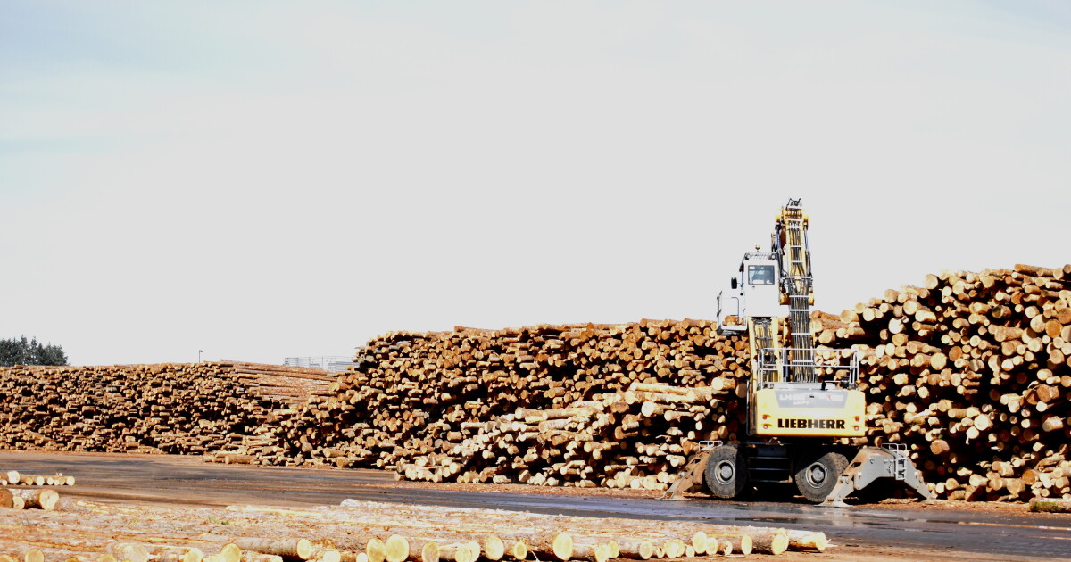 The Fight For Legacy Forests, Part Seven: Where Timber Goes, And The ...