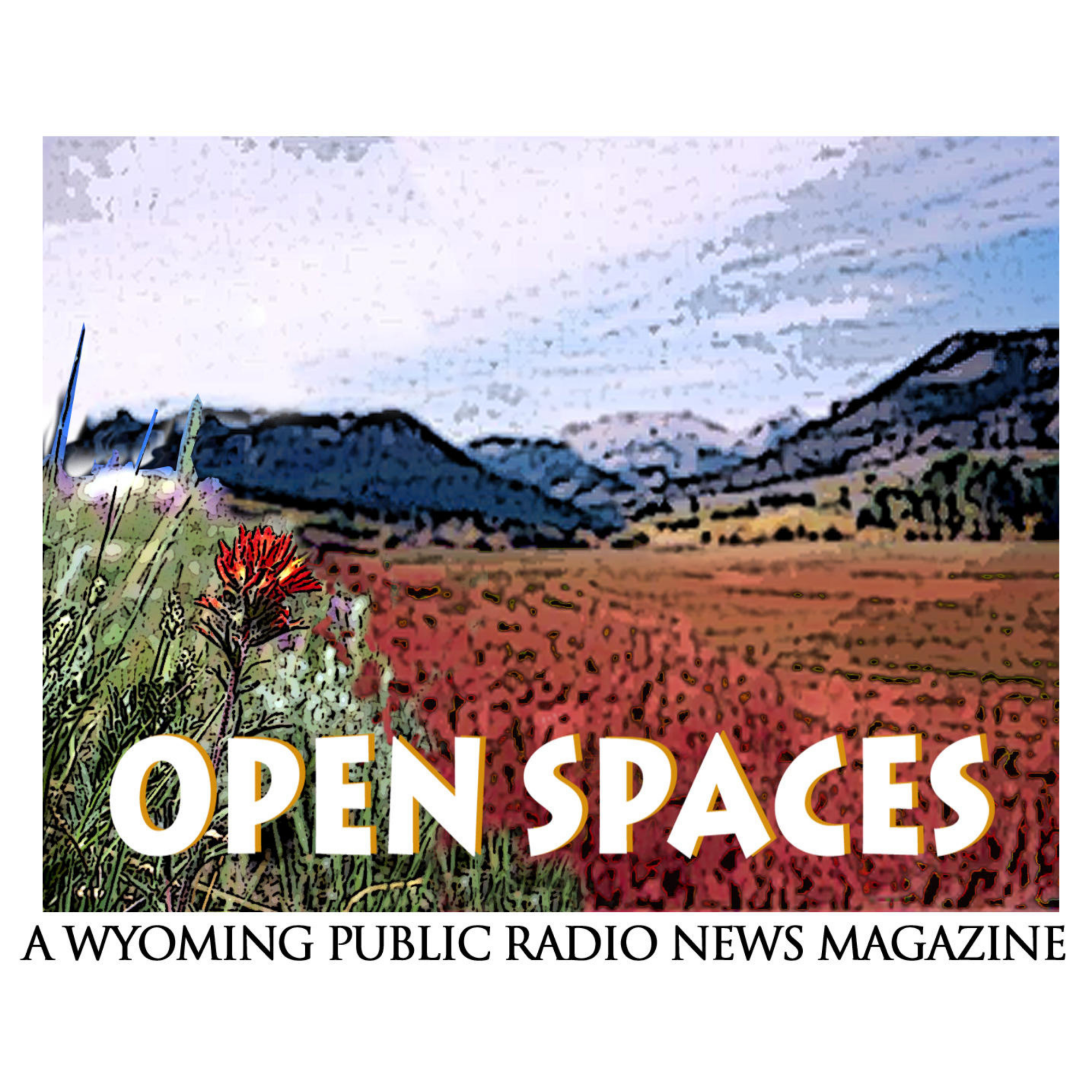 Open Spaces podcast artwork