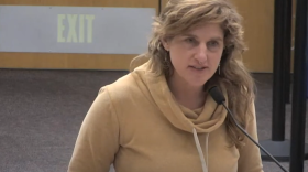 A woman wearing a brown sweater speaks into a microphone.