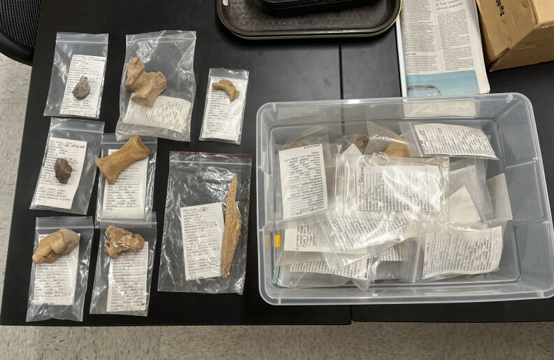 Animal remains from the ancestral village and site called Paa'ko in north-central New Mexico, housed at the University of New Mexico.
The remains are a part of a study looking at the spread of horses in Indigenous societies across the West.