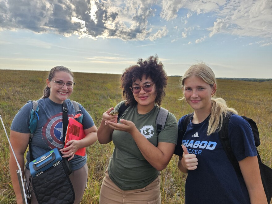 Washburn University students Ally Huber, Mahleah Marshall-Guest and Grace Peterson hold up an ornate box turtle they discovered, measured and released on this prairie while conducting field research.