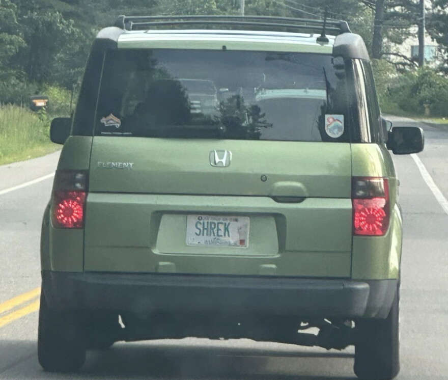 What are you doing in my swamp?!