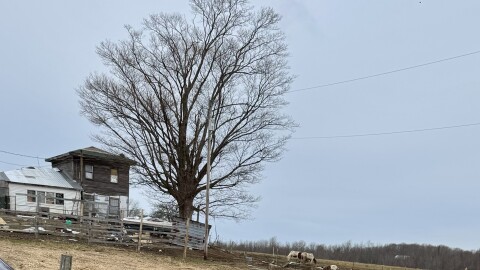 A farm in Sandy Creek that was the scene of a massive animal rescue