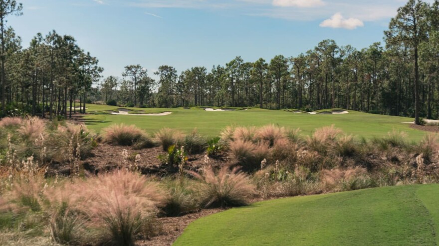 golf hole surrounded by trees, bunkers, and brush