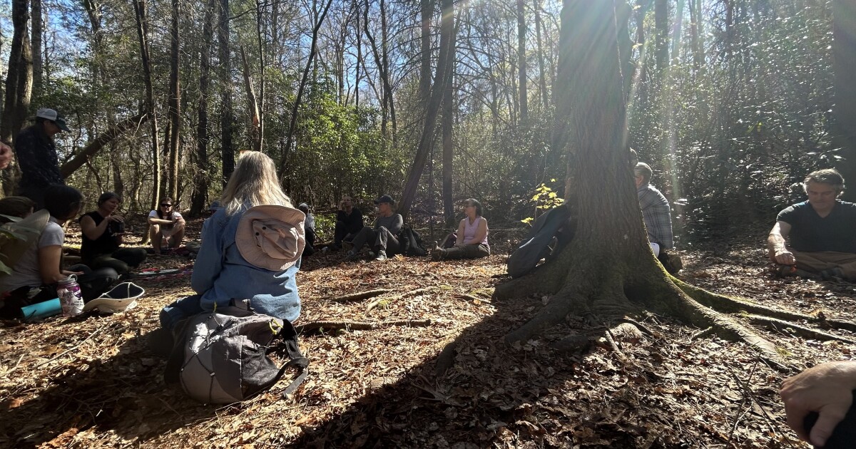 Asheville’s Urban Forest Master Plan is getting re-booted