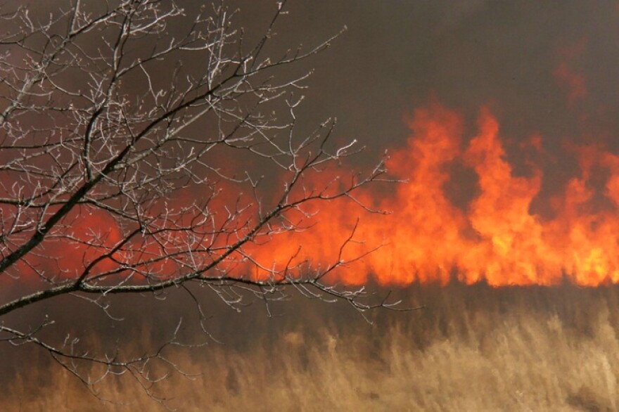 The Great Brush Fire of 1867