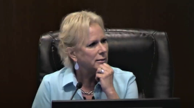 Lake County Commissioner Leslie Campione. Image: Lake County via video