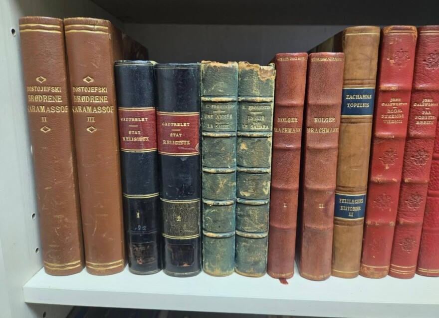 Ancient books at The White Owl
