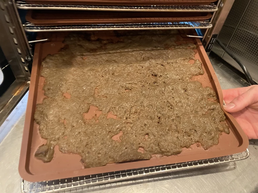 The kelp bio-plastic solution, at the midway point, resembles homemade paper.