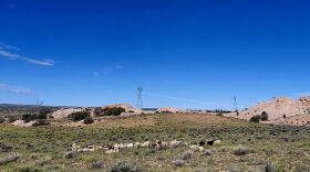 Land within Coppermine Chapter on the Navajo Nation. A firm with ties to a Canadian company proposed building a copper mine there, but community pushback appears to have stalled it.