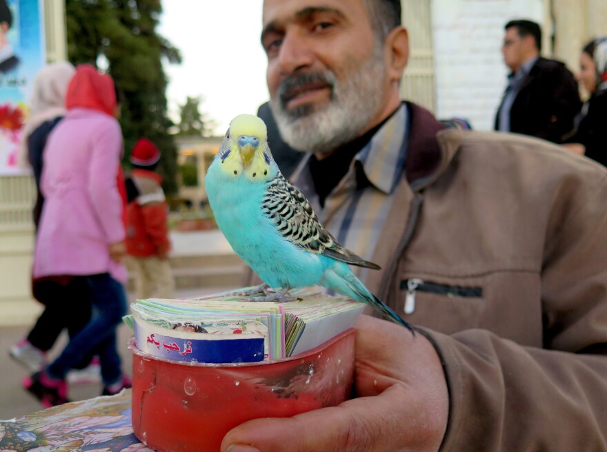 Medhi Salimian uses the words of Hafez — and the help of his bird, Sarah — to tell fortunes.