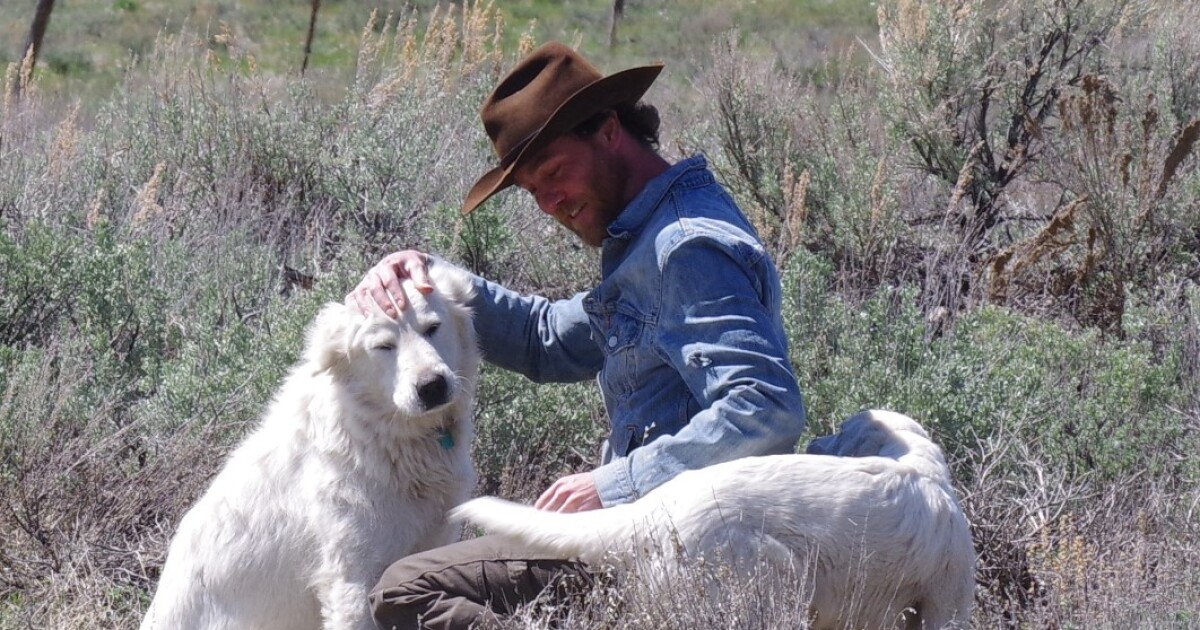 Amid screwworm spread, Idaho issues new requirements for animal entry into the state