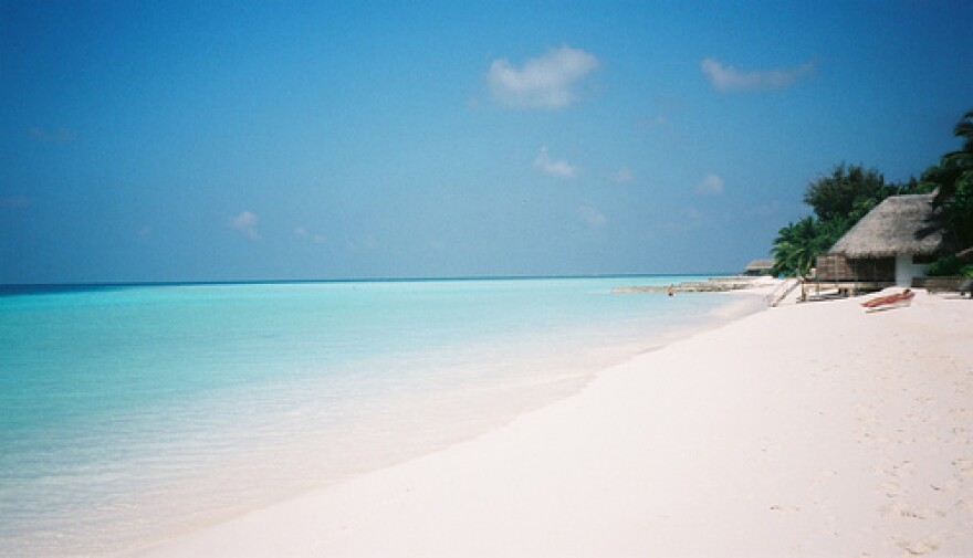 This is not a picture of Lake Ontario's Galloo Island. But it's February, and you needed to see this.