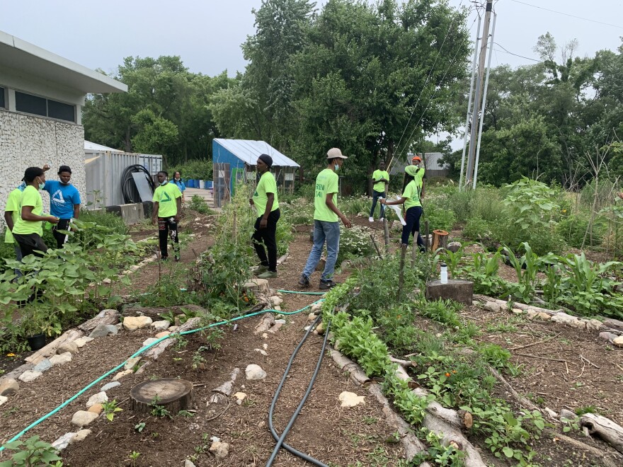 More than 40 high school youth participate in the Green Team summer program. Beside gardening, the program is set up to include sessions called "Real Talk" where youth talk about any issues and give their feedback on their experience.