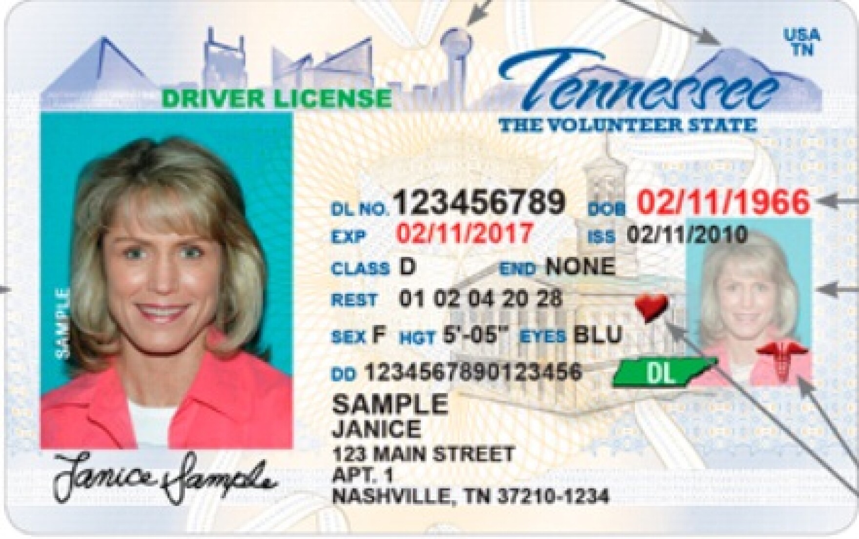 Tennessee Driver Services set to reopen, but it's complicated WMOT