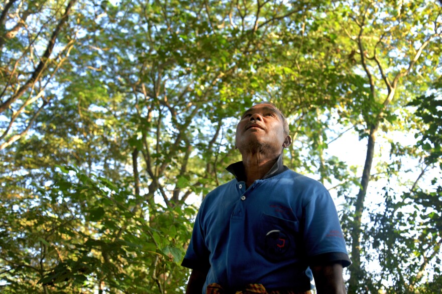 Jadav Payeng, "The Forest Man of India," has planted tens of thousands of trees over the course of nearly 40 years. He has made bloom a once desiccated island that lies in the Brahamputra river, which runs through his home state of Assam.