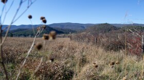 Hayfields State Park opened in Highland County in October. It currently boasts four miles of easy-to-moderate hiking trails through rolling pastureland and woods.