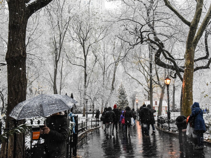The first snow of the season didn't keep New Yorkers out of Madison Square Park. Parts of the Deep South also saw an unusual early snowfall.