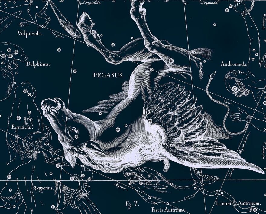 Pegasus shares the star Alpheratz with the constellation Andromeda, which can be imagined as the sacred kiss that happens between Ivan and his beloved in this week's tale. Shown here in reverse by Hevelius, 17th century.