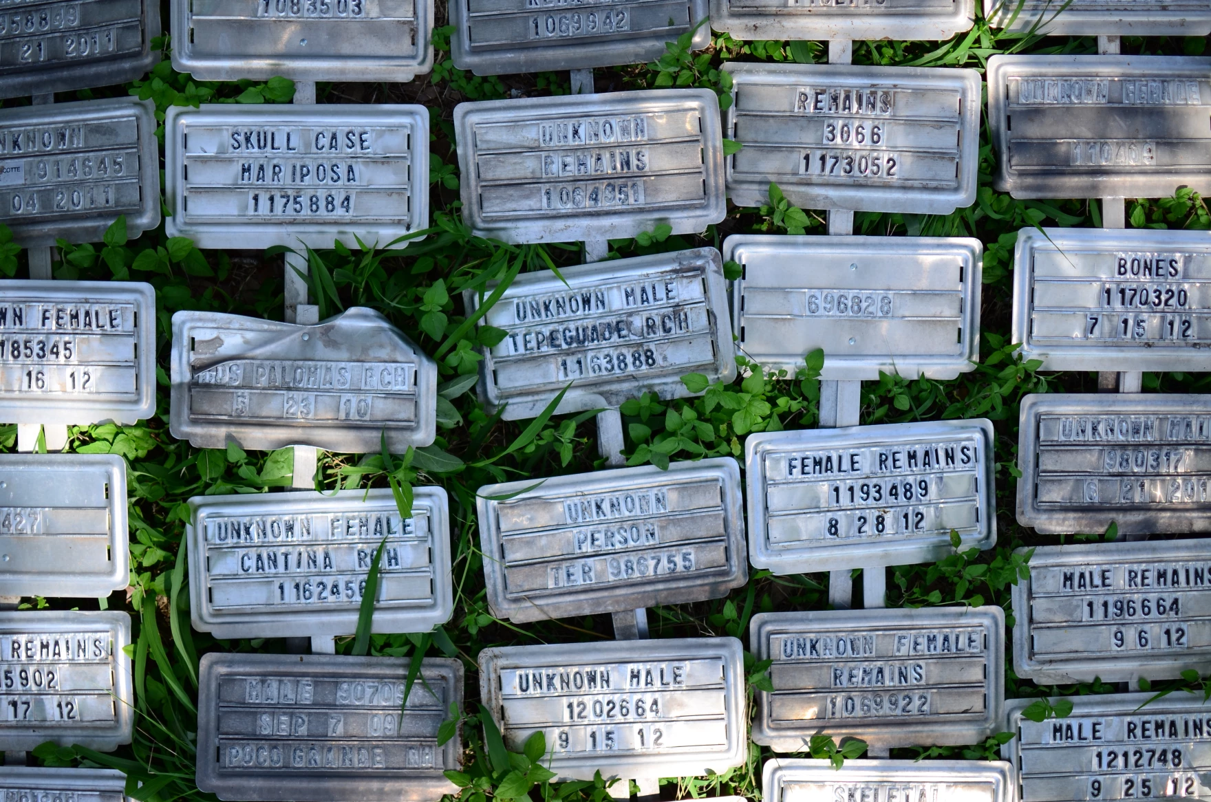 <strong>Marcadores que estuvieron atados a los cuerpos de los migrantes fallecidos. Foto: Texas State University </strong> <strong>Marcadores que estuvieron atados a los cuerpos de los migrantes fallecidos. Foto: Texas State University </strong>