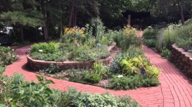 Sensory Garden at KU's Audio-Reader (Photo by J. Schafer)