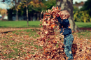 A small child mid throwing a pile of dried leaves in the air. There are also more leaves littering the grass around them.