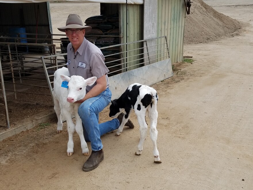 Frank Konyn holds two calves at his dairy farm, April 2, 2018.