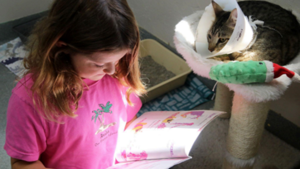 Kairi Bean reads to Patuzo at the Humane Society of North Central Florida during Purrs & Tales in Gainesville, Fla. Thursday, July 23, 2026.