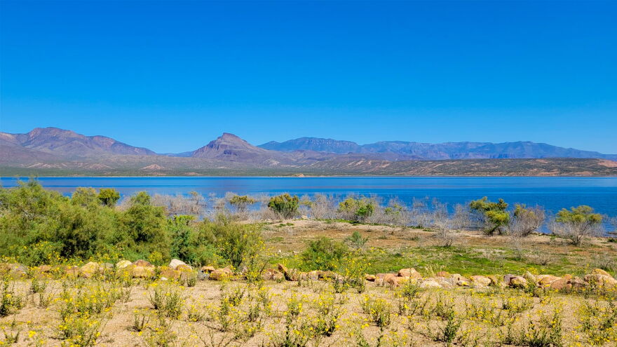 Roosevelt Lake