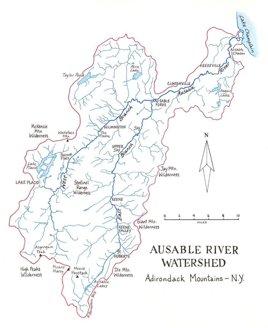 You've probably seen these Adirondack maps. Meet the artist who draws them