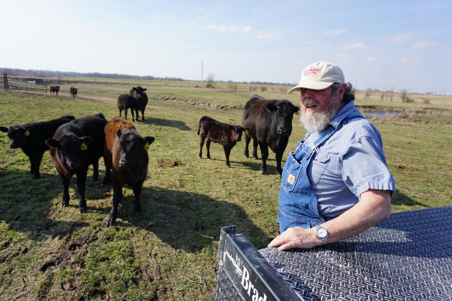 Cattle farmer Darvin Bentlage on his farm near Golden City, MO. His livestock are tagged with metal and plastic tags and he is opposed to being forced to use RFID chips instead.