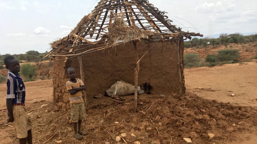 The cows in West Pokot County, Kenya, get so hungry they feast on thatched roofs. That makes them sick and many of them end up dead.