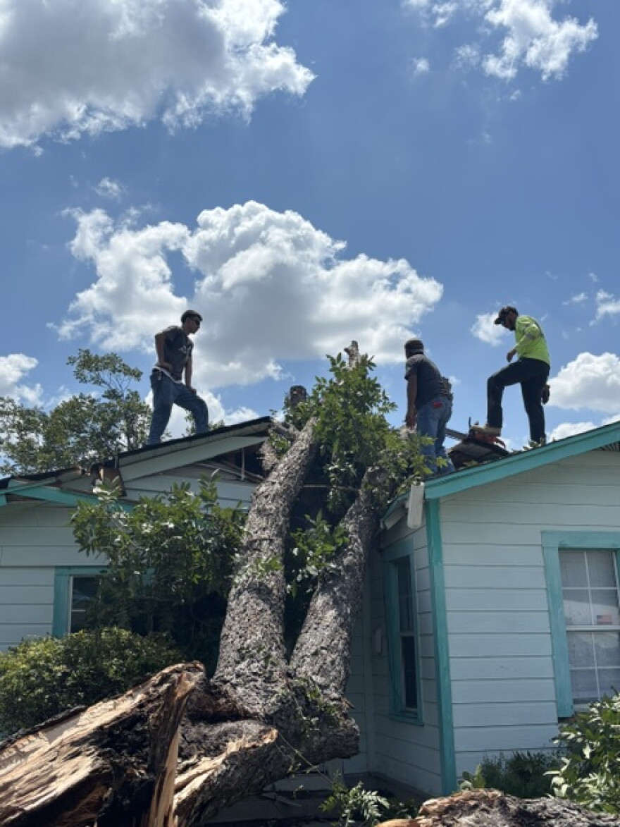A group of men try to remove a massive pecan tree that was felled by sudden storms that blew in on Aug. 28, 2026.