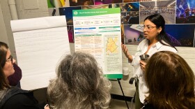 A member of the Strategic Energy Action Plan Technical Advisory Committee fielding questions from the public at the climate risk assessment Thursday, Nov. 21, 2024.
