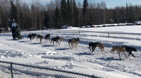 Buddy Streeper nears the finish line on the final day of the 2023 Open North American Sled Dog Championship.