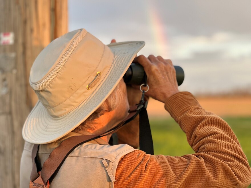 A birdwatcher holds binoculars to her eyes and looks out over a field. There is a rainbow in the background.