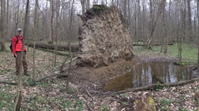 Professors conduct research in Ginn Woods in 2017.